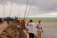 Waitara;Taranaki;churches;school;cafes;murals;sculptures;post_office;shops;Fishi