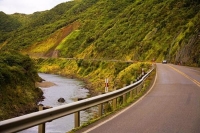 Woodville;Tararua;green_fields;green_paddocks;Wind_farm;wind_farms;Wind_generate