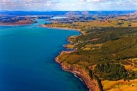 Aerial;Raglan;Waikato;coastal;bachs;holiday_homes;bush;native_forrest;blue_sky;b