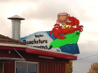 Raglan;Waikato;coastal;bachs;holiday_homes;bush;native_forrest;blue_sky;blue_sea