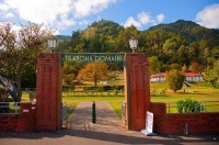 Te_Aroha;Waikato;agricultural;Mount_Te_Aroha;Edwardian_Domain;Edwardian_Domain;C