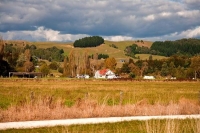 Te_Kuiti;South_Waikato;airport;agricultural;Timber;timber_industry;Waipa_river;M