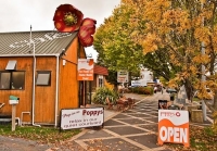 Aerial;Tirau;Waikato;green_fields;New_Zealand;agricultural;Tirau_corrugated_scul