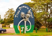 Aerial;Tirau;Waikato;green_fields;New_Zealand;agricultural;Tirau_corrugated_scul