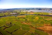 Aerial;Waikato_River;Waikato;agricultural;Dairy;Dairy_industry;agriculture;sheep