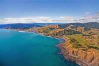 Aerial;West_Coast_Waikato;Waikato;coastal;bachs;holiday_homes;bush;native_forres