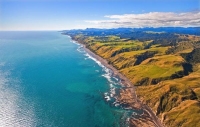 Aerial;West_Coast_Waikato;Waikato;coastal;bachs;holiday_homes;bush;native_forres