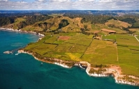 Aerial;West_Coast_Waikato;Waikato;coastal;bachs;holiday_homes;bush;native_forres