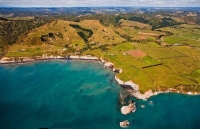 Aerial;West_Coast_Waikato;Waikato;coastal;bachs;holiday_homes;bush;native_forres