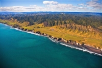 Aerial;West_Coast_Waikato;Waikato;coastal;bachs;holiday_homes;bush;native_forres