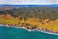 Aerial;West_Coast_Waikato;Waikato;coastal;bachs;holiday_homes;bush;native_forres