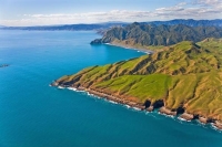 Aerial;West_Coast_Waikato;Waikato;coastal;bachs;holiday_homes;bush;native_forres