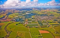 Aerial;Martinborough;Wairarapa;agricultural;vineyards;wine_production;wine_trail
