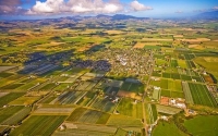 Aerial;Martinborough;Wairarapa;agricultural;vineyards;wine_production;wine_trail