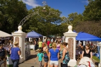 Martinborough;Wairarapa;agricultural;vineyards;wine_production;wine_trail;church