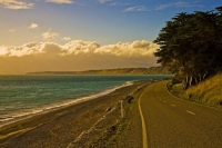 Palliser_Bay;Wairarapa;rocky_shoreline;coast_road;lighthouse;seals;bachs;holiday