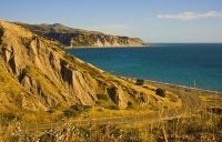 Palliser_Bay;Wairarapa;rocky_shoreline;coast_road;lighthouse;seals;bachs;holiday