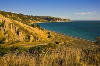 Palliser_Bay;Wairarapa;rocky_shoreline;coast_road;lighthouse;seals;bachs;holiday