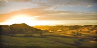 Wairarapa_Landscape_Image;Wairarapa;golden_light;sunrise;long_shadows;New_Zealan