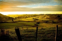 Wairarapa_Landscape_Image;Wairarapa;sunrise;sheep_country;long_shadows;Dawn;gold