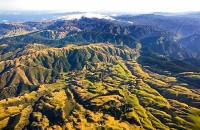 Aerial;Upper_Hutt;Hutt_Valley;native_forest;sheep;sheep_shearing;Tararua_Ranges;