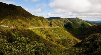 Upper_Hutt;Hutt_Valley;native_forest;Tararua_Ranges;agriculture;tramping_tracks;