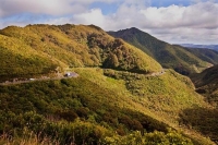 Upper_Hutt;Hutt_Valley;native_forest;Tararua_Ranges;agriculture;tramping_tracks;