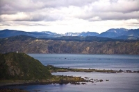 Wellington;bays;harbour;ferries;clear_water;seaside;Lighthouse;lighthouses;cliff