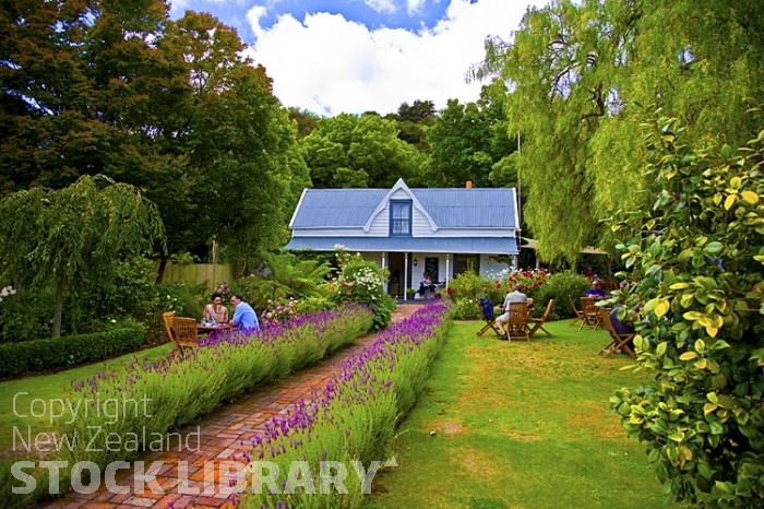 Banks Peninsula Canterbury Akaroa Cottage Cafe