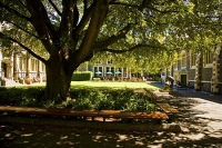 Christchurch;Canterbury;high_rise;Heritage_Museum;fashion_outlets;Library;Art_Ga