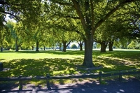 Christchurch;Canterbury;high_rise;Heritage_Museum;fashion_outlets;Library;Art_Ga