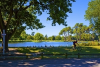 Christchurch;Canterbury;high_rise;Heritage_Museum;fashion_outlets;Library;Art_Ga