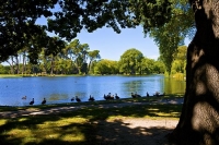 Christchurch;Canterbury;high_rise;Heritage_Museum;fashion_outlets;Library;Art_Ga