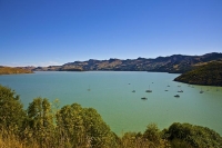 Lyttelton;Canterbury;Lyttelton_Harbour;Banks_Peninsula;Diamond_Harbour;Dry_dock;