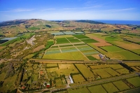 North_Canterbury;Canterbury;mountains;hills;Canterbury_Plain;coastline;golden_sa