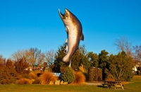 Rakaia;Canterbury;Canterbury_Plain;green_fields;paddocks;green_paddocks;rivers;R