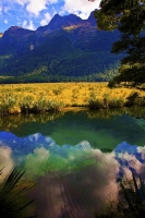 Road_to_Milford_Sound;Fiordland;mountains;hills;rivers;Road;State_Highway_94;bus