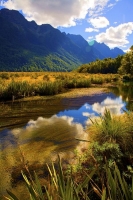 Road_to_Milford_Sound;Fiordland;mountains;hills;rivers;Road;State_Highway_94;bus