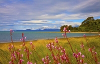Golden_Bay_Coast;Golden_Bay;River;sandy_beaches;rocky_shorelines;state_highway_2