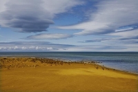 Golden_Bay_Coast;Golden_Bay;Milnthorpe_Beach;River;sandy_beaches;rocky_shoreline