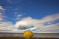 Golden_Bay_Coast;Golden_Bay;Milnthorpe_Beach;River;sandy_beaches;rocky_shoreline
