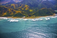 Aerial;Kaikoura_Coast;Kaikoura;bush;native_forest;seaward_Kaikoura_Range;green_f