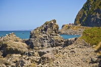 Kaikoura_Coast;Kaikoura;bush;native_forest;seaward_Kaikoura_Range;green_fields;p