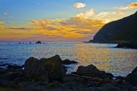 Kaikoura_Coast;Kaikoura;bush;native_forest;seaward_Kaikoura_Range;green_fields;p