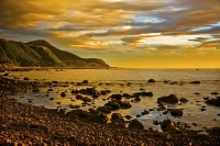 Paparoa_Point;Kaikoura_Coast;Kaikoura;bush;native_forest;seaward_Kaikoura_Range;