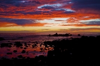 Kaikoura_Coast;Kaikoura;bush;native_forest;seaward_Kaikoura_Range;green_fields;p