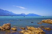 Kaikoura_Coast;Kaikoura;bush;native_forest;seaward_Kaikoura_Range;green_fields;p