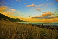 Kaikoura_Coast;Kaikoura;bush;native_forest;seaward_Kaikoura_Range;green_fields;p