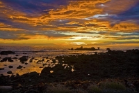 Kaikoura_Coast;Kaikoura;bush;native_forest;seaward_Kaikoura_Range;green_fields;p