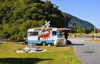 Cray_Fish_Vendor;Kaikoura_Coast;Kaikoura;bush;native_forest;seaward_Kaikoura_Ran